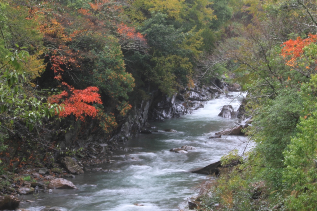 http://i.dcview.tw/gallery/201112/f2129d87e6b769d1487f8ffe1b60fd6a.jpg