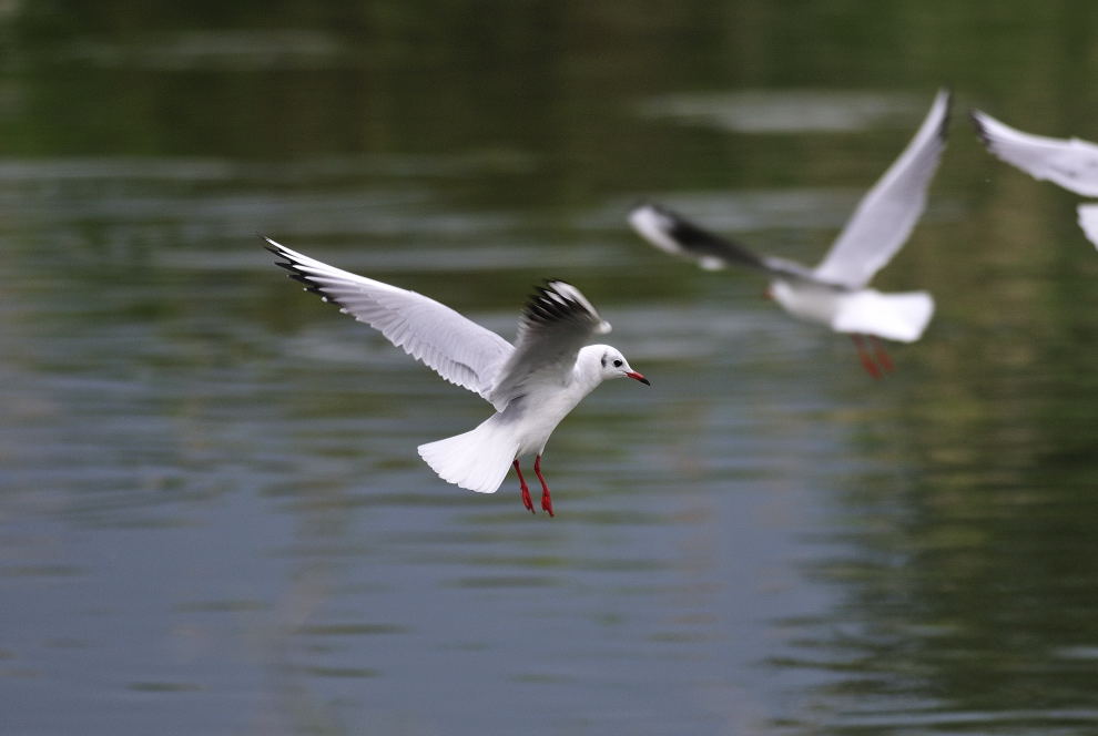 http://i.dcview.tw/gallery/201112/f9163ff2a7af0c1ffee95cdfe1093051.jpg