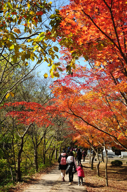 http://i.dcview.tw/gallery/201112/f9939717dbfc52a01cb64d870f32cbc9.jpg