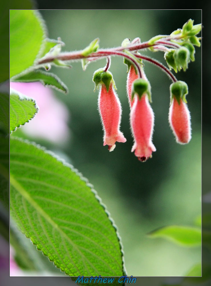 http://i.dcview.tw/gallery/201112/fb4820a29efa49a9e08ae1fa2a179be8.jpg