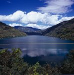 楓葉及12月掃描的照片