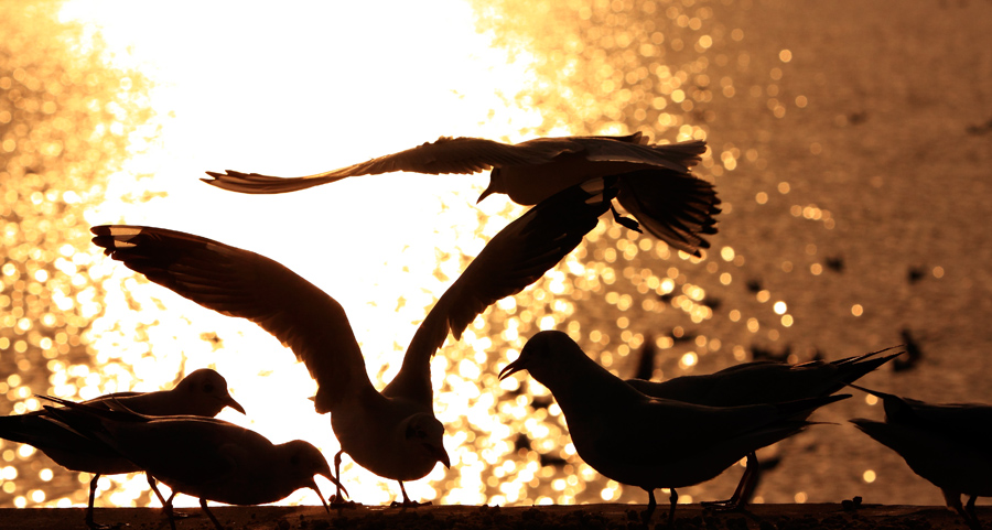 http://i.dcview.tw/gallery/201201/022a706443596efda98c898d75e6bb6a.jpg