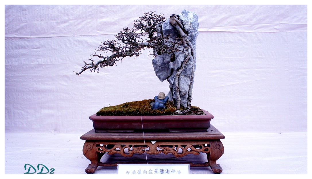 http://i.dcview.tw/gallery/201201/0811c768a78e7af46b7158a95e14f032.jpg