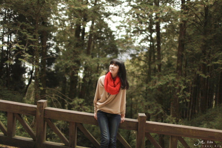 http://i.dcview.tw/gallery/201201/1193fe75305fc6c9e6b7752a27494bab.jpg