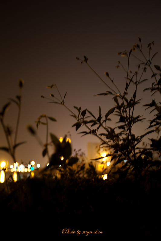 http://i.dcview.tw/gallery/201201/12d15195293515b5d0b791b1cc405e58.jpg