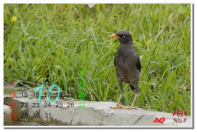 http://i.dcview.tw/gallery/201201/169a58998a583e8620e2c0dbfc65f887.jpg