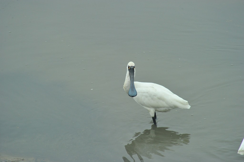 http://i.dcview.tw/gallery/201201/1b346803ca1e55d7b8eb276152873017.jpg