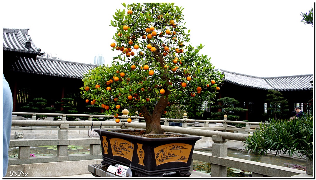http://i.dcview.tw/gallery/201201/1e2d48eea56e941cb7d998571d725337.jpg