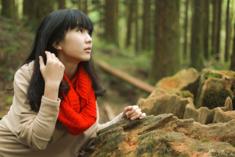 http://i.dcview.tw/gallery/201201/208a32ed85bffef57b15873ac5b50bc0.jpg