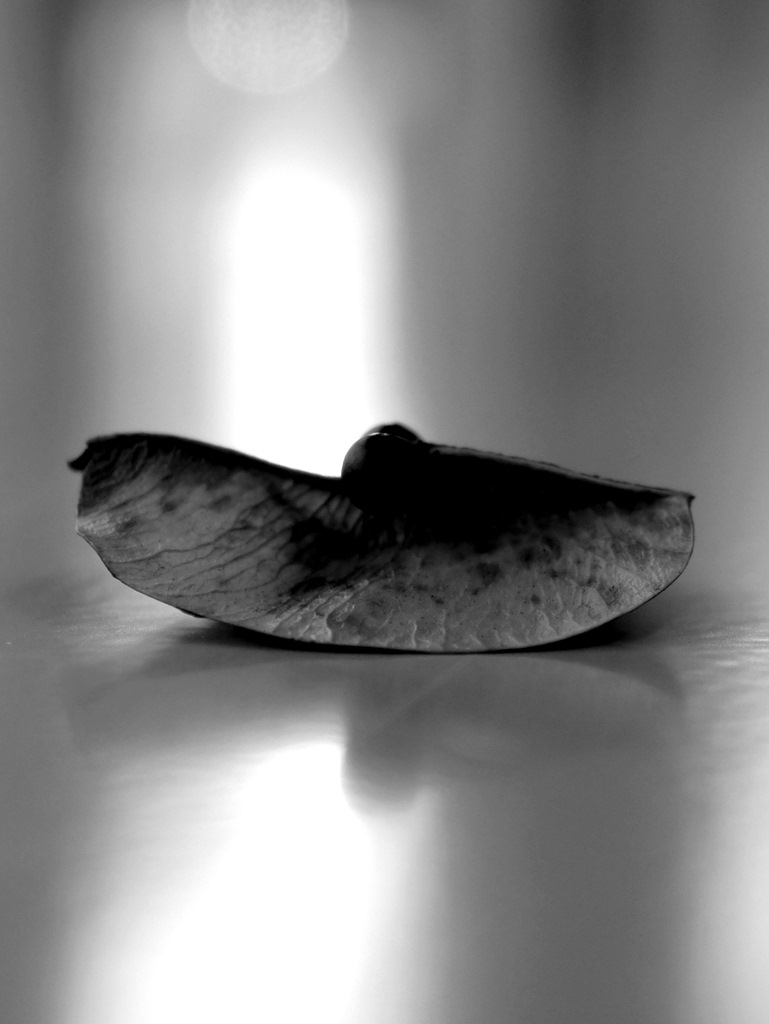 http://i.dcview.tw/gallery/201201/25ba1b59c738e10de358fcd35fc45b6e.jpg