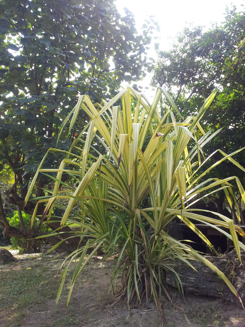 http://i.dcview.tw/gallery/201201/264782ca4b880c79ec0a7bd8ddb95ec5.jpg