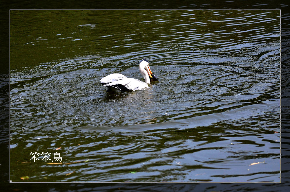 http://i.dcview.tw/gallery/201201/2abe92320e47edcfe7849dea7a5a065e.jpg