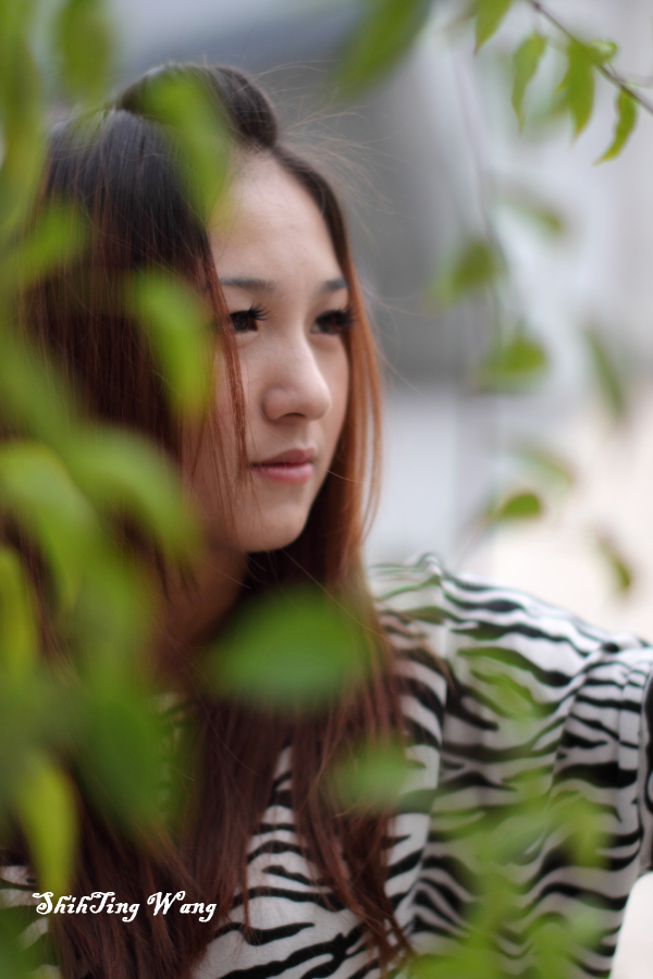 http://i.dcview.tw/gallery/201201/2cb0b00a338f8f69b249edfeda7e9958.jpg