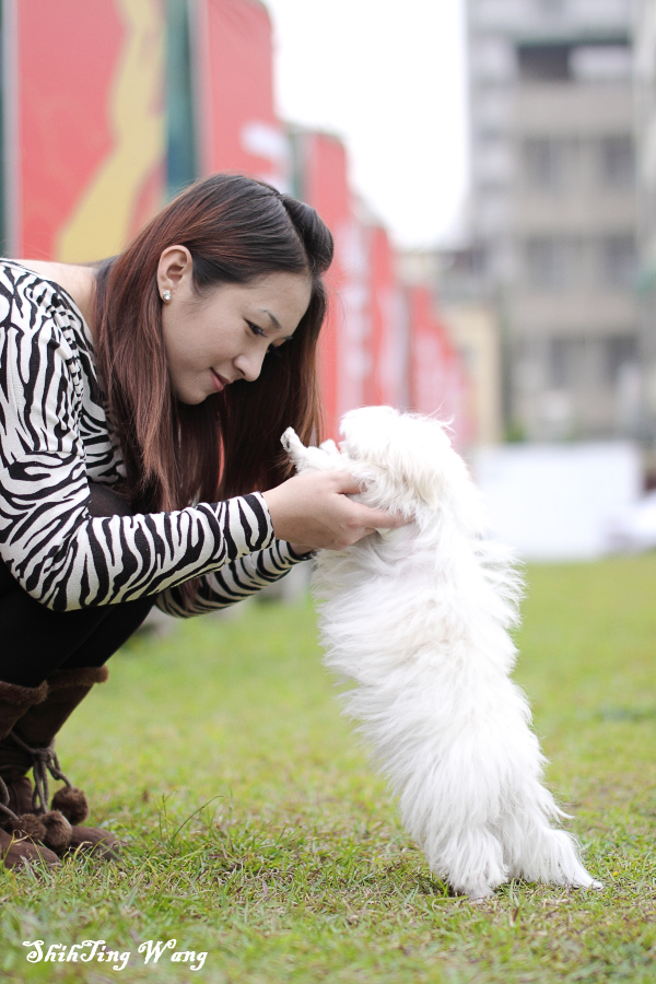 http://i.dcview.tw/gallery/201201/2d6cedbddd9dbcf0e2238746a057ed91.jpg