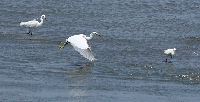 http://i.dcview.tw/gallery/201201/33075306226e3345c1a731f167451225.jpg