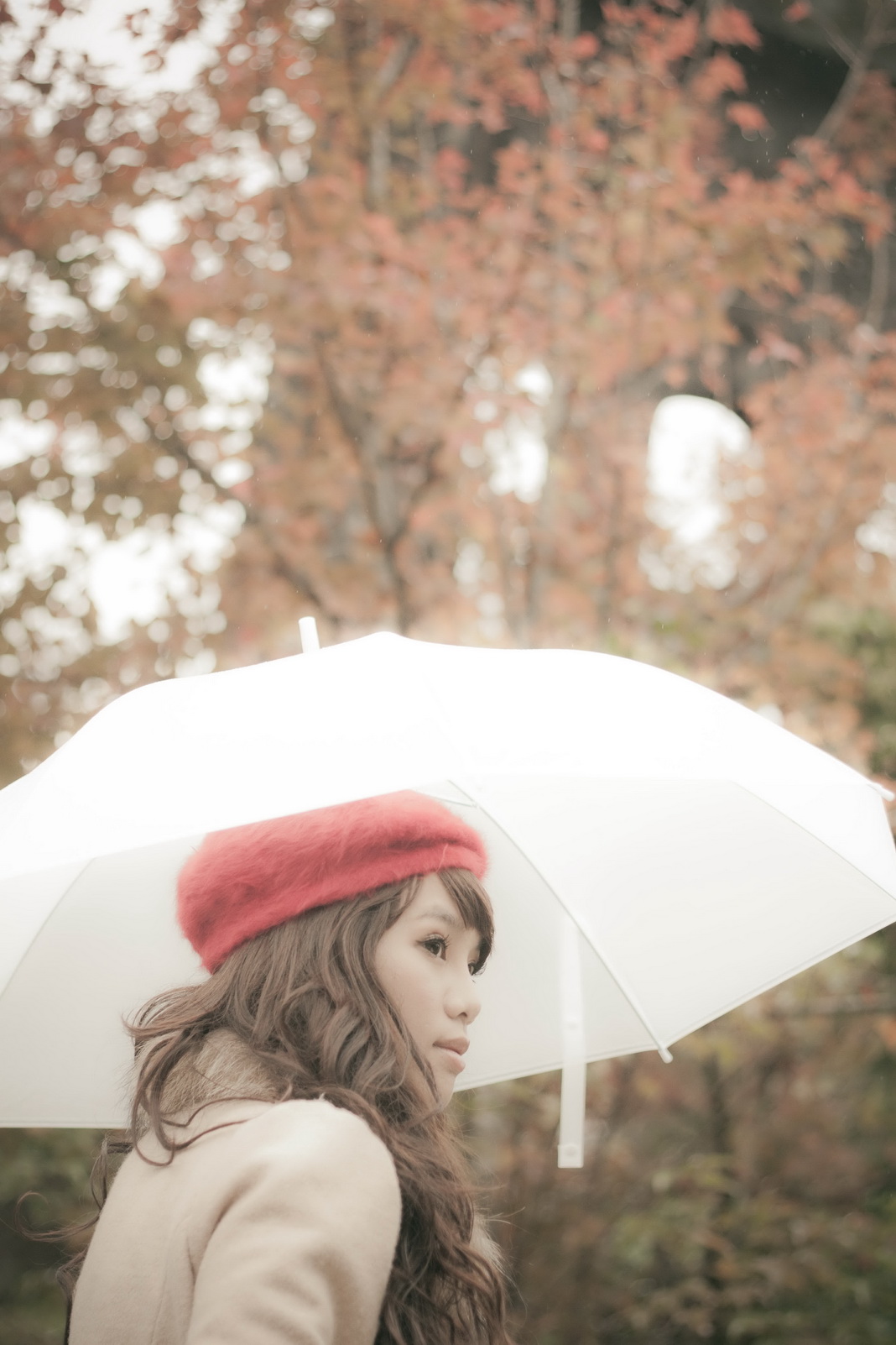 http://i.dcview.tw/gallery/201201/3879a5990ded05a09eda8943fd1b5434.jpg