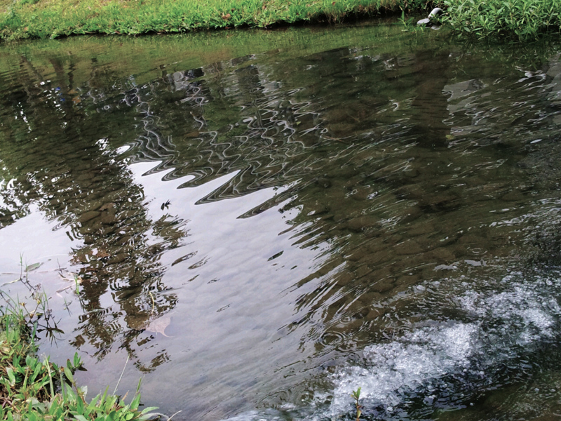 http://i.dcview.tw/gallery/201201/4a764252113025751d3dcf6cad0d3b20.jpg