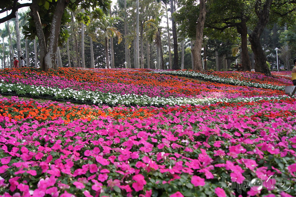 http://i.dcview.tw/gallery/201201/4d1bdff55d61ab64798ce1681584f00f.jpg