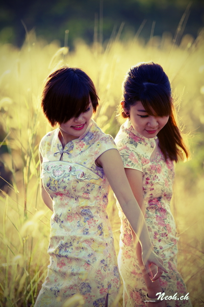http://i.dcview.tw/gallery/201201/5dc8b238e397742281b83dc5fc5fee39.jpg