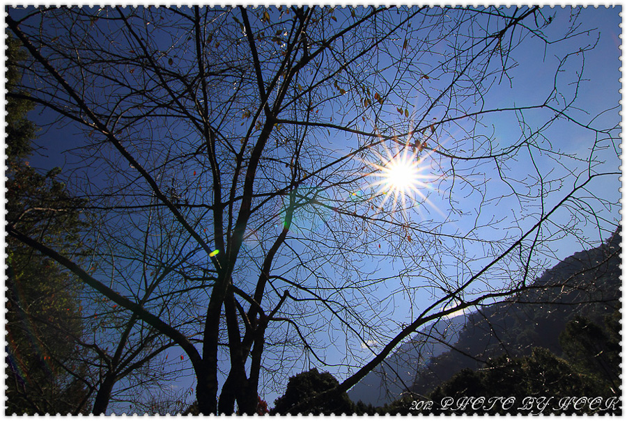 http://i.dcview.tw/gallery/201201/5efde8bd24beb0f19da8dff805b6251f.jpg