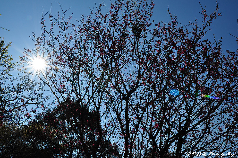 http://i.dcview.tw/gallery/201201/660bf839816c5d562abcd17a03db3b89.jpg