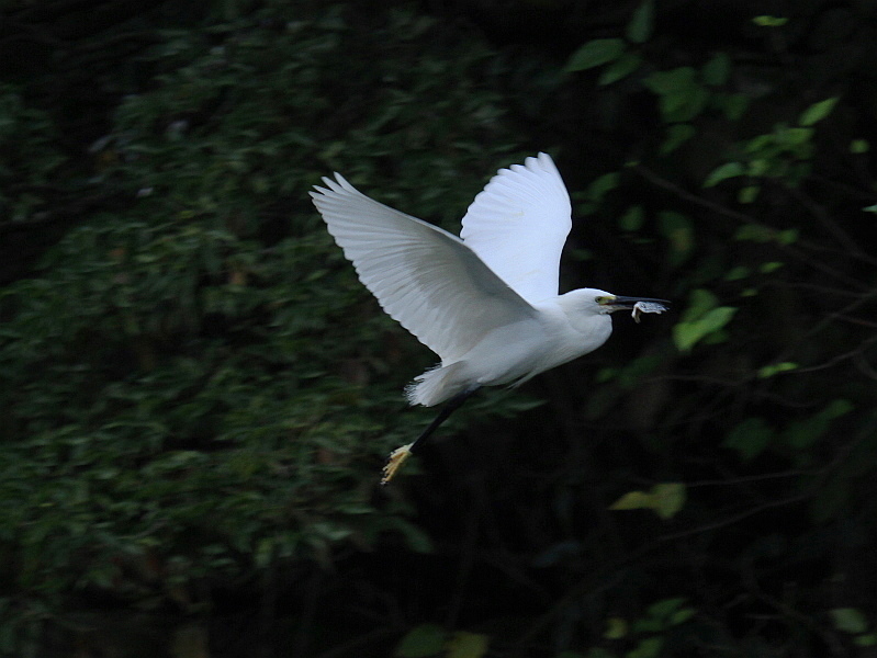 http://i.dcview.tw/gallery/201201/6ebda6d93b0989bd735102bd07331923.jpg