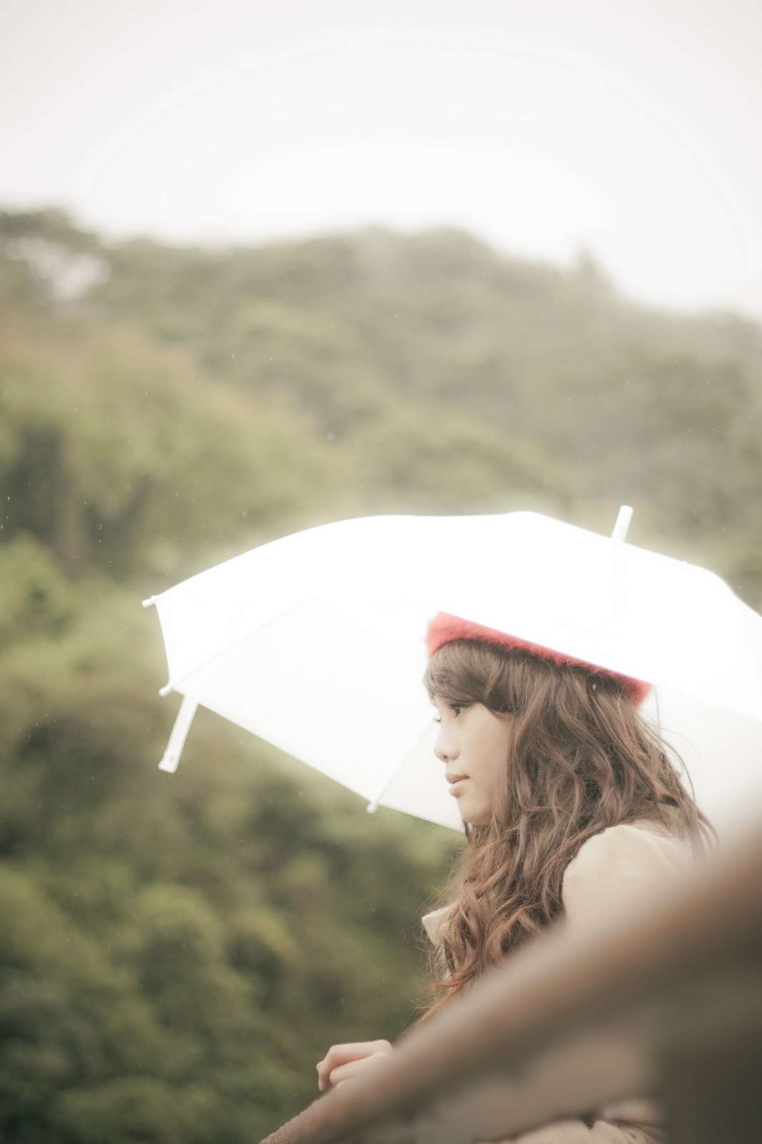 http://i.dcview.tw/gallery/201201/6eea004d0bad3906efdb170cb4e07a59.jpg
