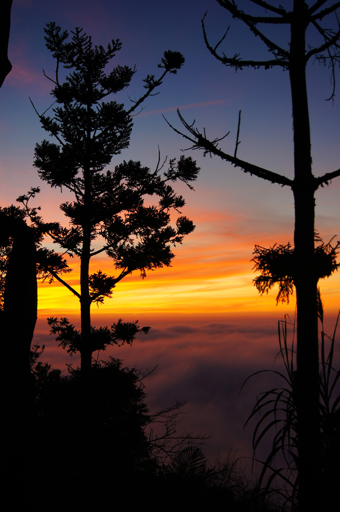 http://i.dcview.tw/gallery/201201/7207949b5f68c45c7bd94bfffc05ed8a.jpg