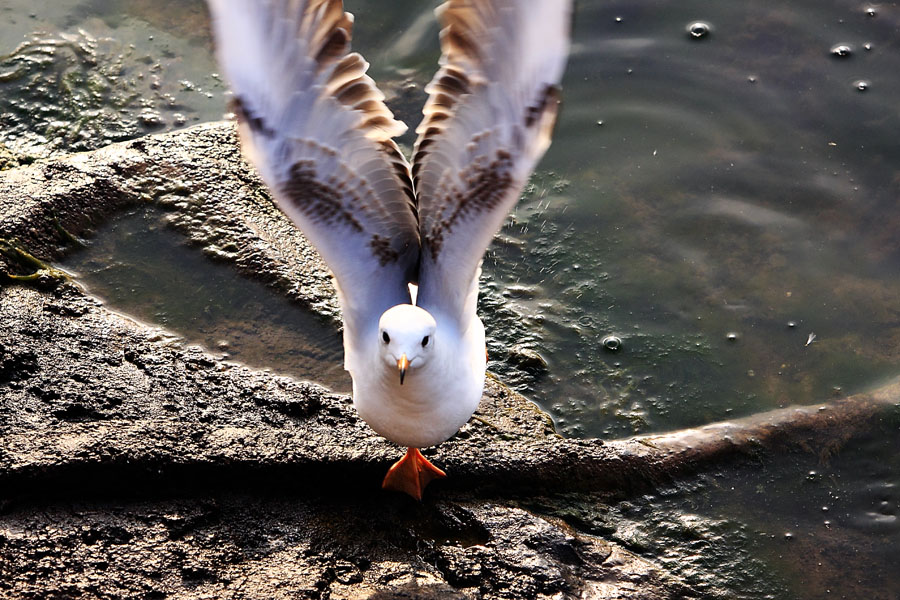 http://i.dcview.tw/gallery/201201/74a27c21aa1381b1412c9d2016ac02e3.jpg