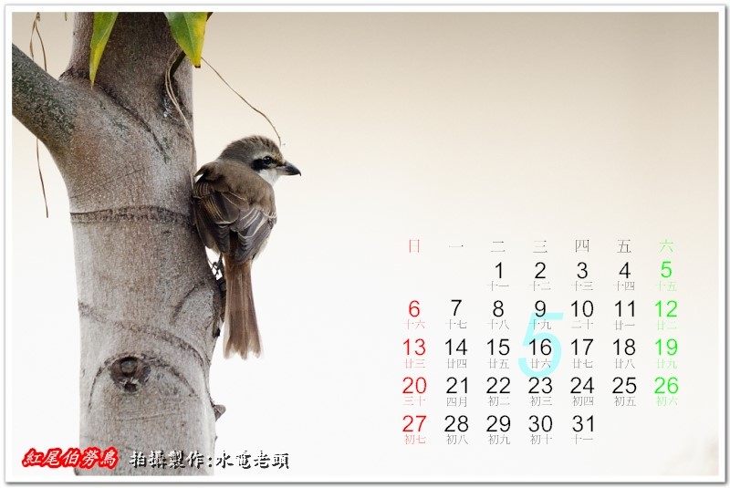http://i.dcview.tw/gallery/201201/77e689618ffbf8ef33b6d1ae4f4c40c3.jpg