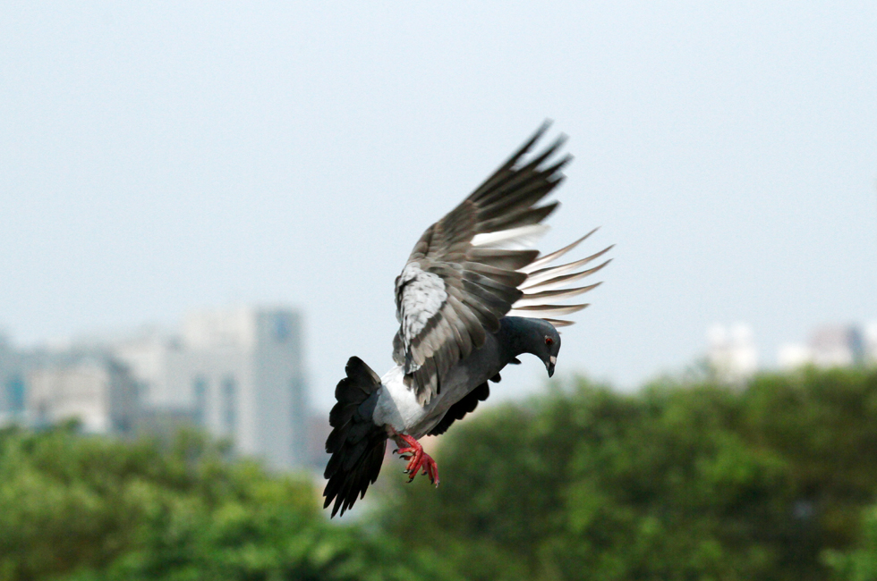 http://i.dcview.tw/gallery/201201/7c38551a413dae5ab738a3c06bec9f78.jpg