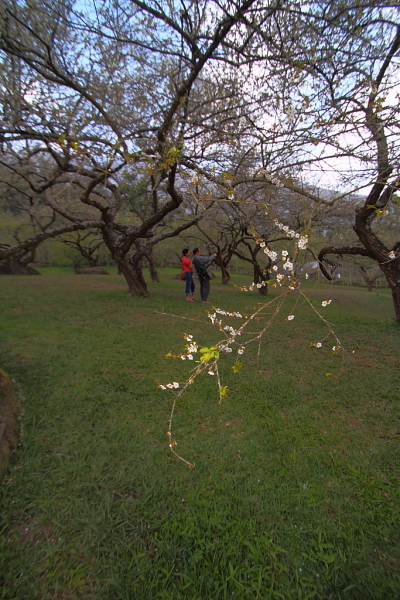 http://i.dcview.tw/gallery/201201/7c3d17e2fea1cce74497d912ac0e2faa.jpg