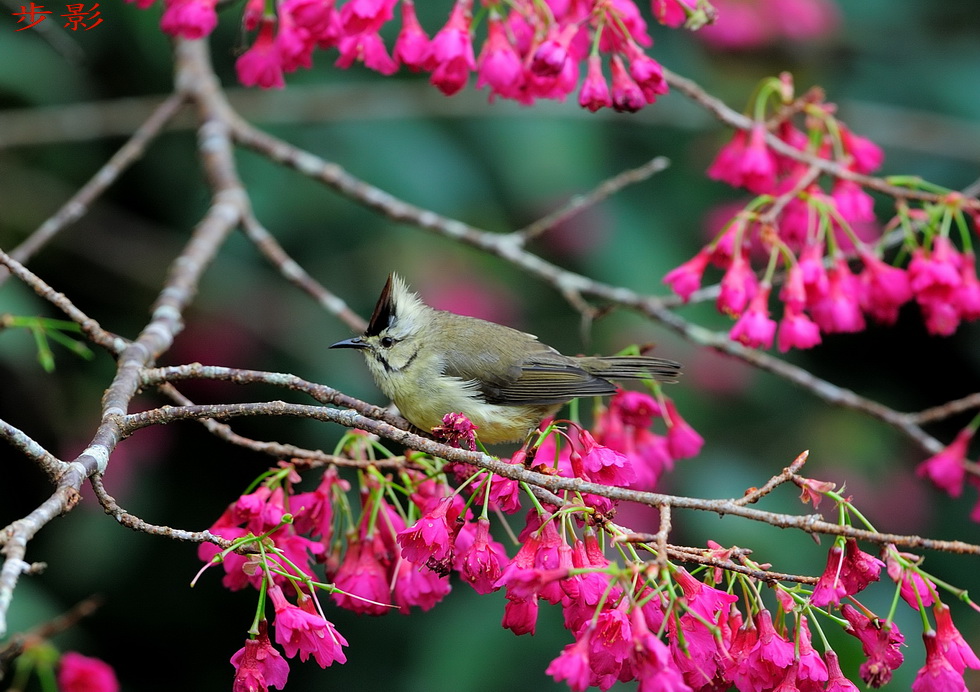 http://i.dcview.tw/gallery/201201/8128f76051ff9235a732ec88fbd7c1e2.jpg