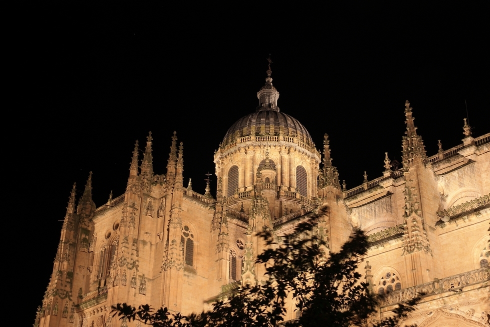http://i.dcview.tw/gallery/201201/8556e9e757ba13701c35759f405020a3.jpg