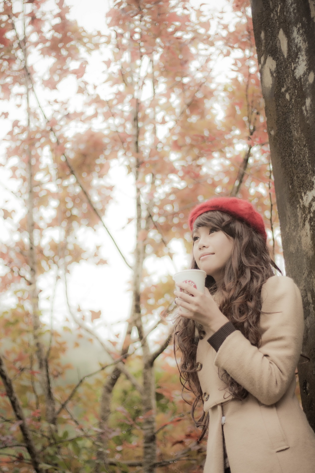 http://i.dcview.tw/gallery/201201/8a94533c9fc86453b671619a97d5bee4.jpg
