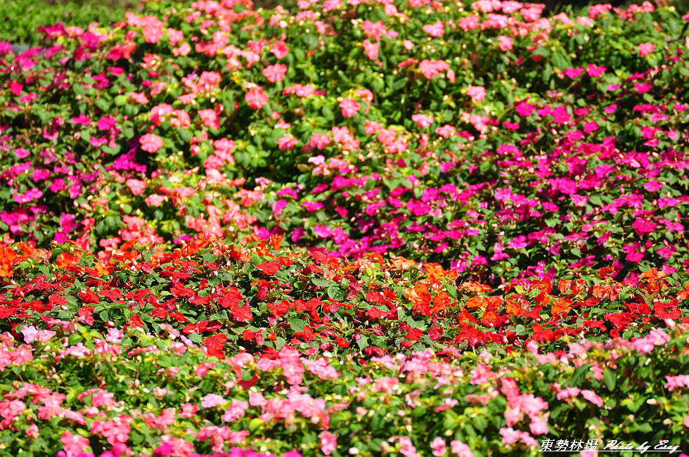 http://i.dcview.tw/gallery/201201/948d547a677a5fdebf0a73345a177fb3.jpg