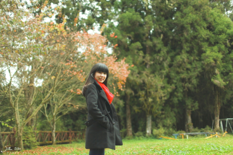 http://i.dcview.tw/gallery/201201/97dcd9ab38186e25b68ad6add172e934.jpg