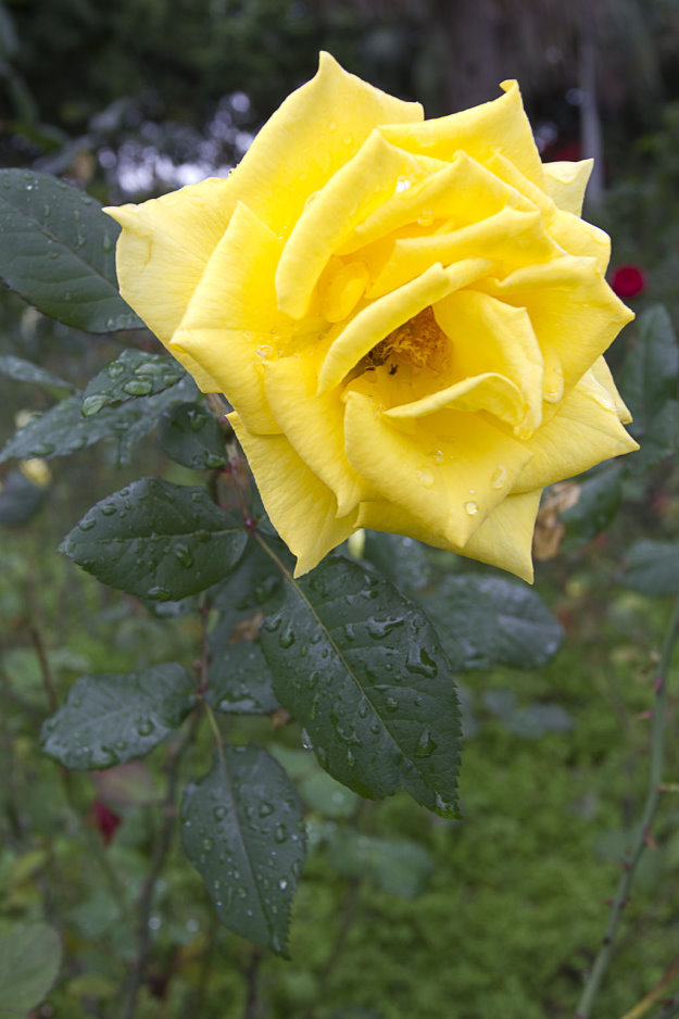 http://i.dcview.tw/gallery/201201/a0554d5617d0df5b19ea583a69875998.jpg