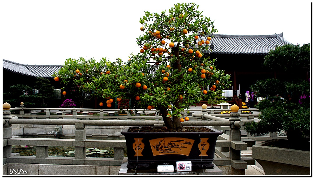 http://i.dcview.tw/gallery/201201/a70b53524dd430b6a95317729be85b3b.jpg