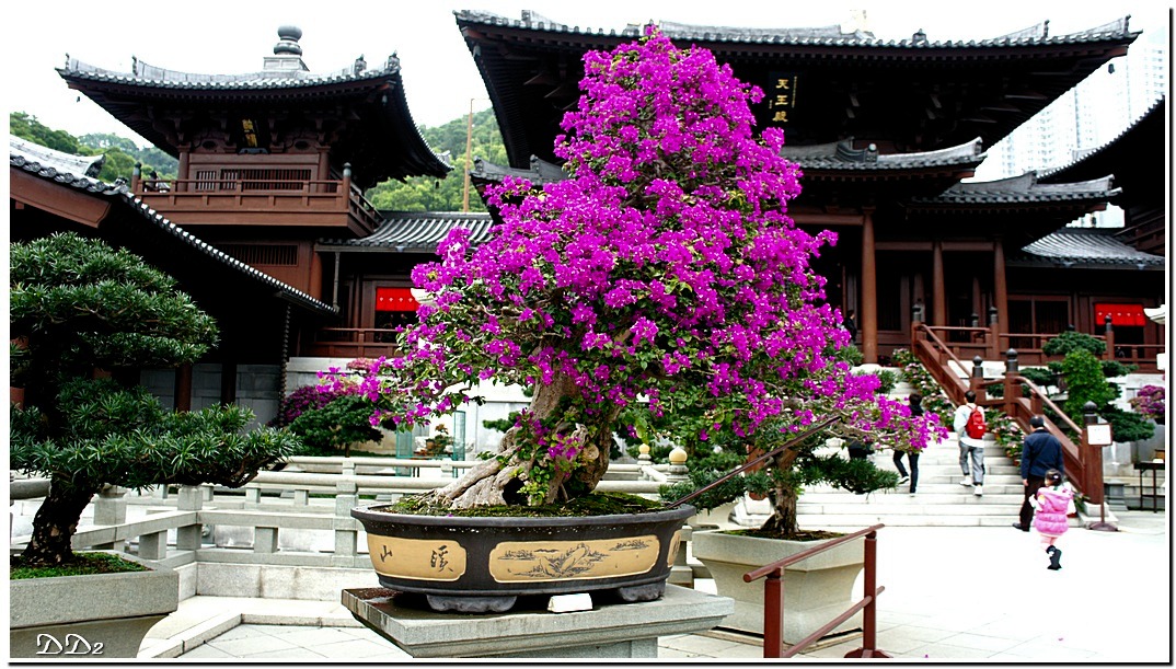 http://i.dcview.tw/gallery/201201/a729413a4840d130bddd50ff43316700.jpg