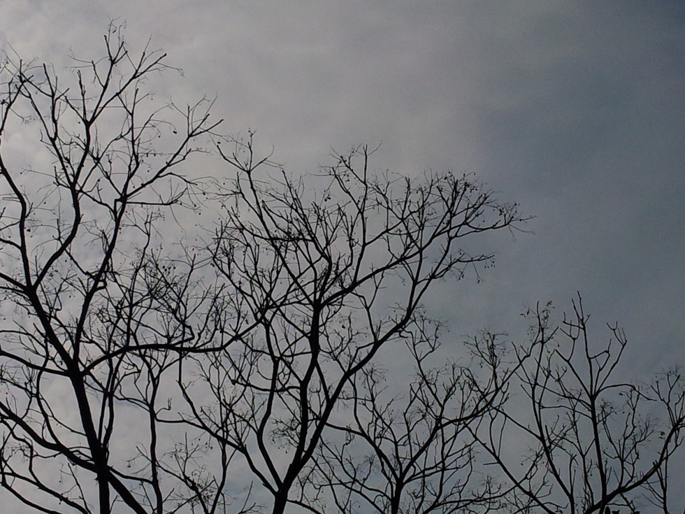 http://i.dcview.tw/gallery/201201/a73037d5d2dfcc3b0fef41823ccb69da.jpg