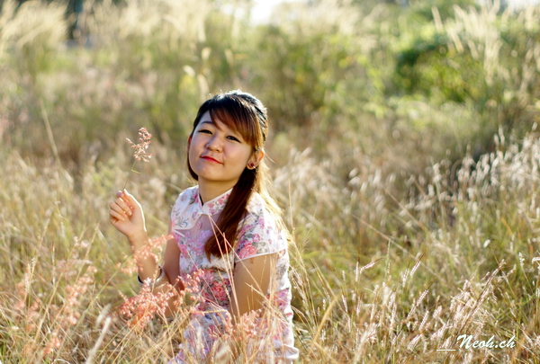 http://i.dcview.tw/gallery/201201/a768679004b93b4a78267b778ca1d494.jpg