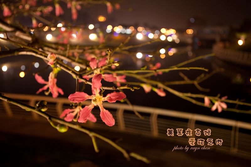 http://i.dcview.tw/gallery/201201/a9cc83fa085d8a56fb1f875ea7a317f0.jpg