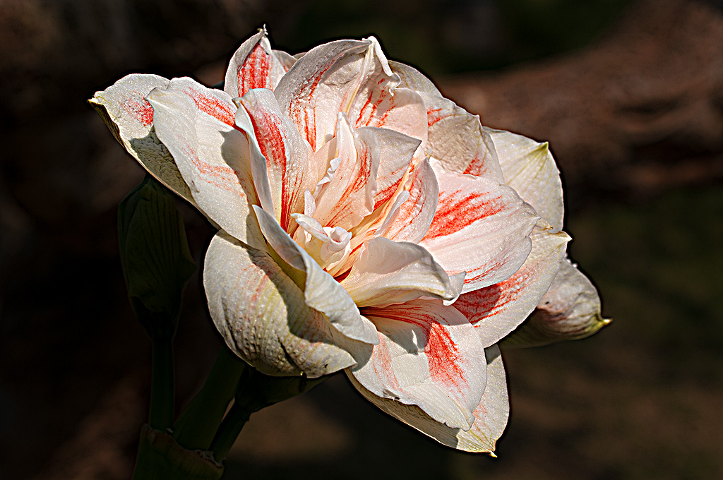 http://i.dcview.tw/gallery/201201/ac1edc9d79208dd3f4378e9406a06dde.jpg
