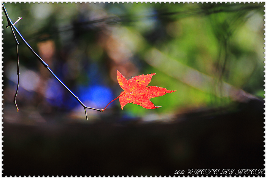 http://i.dcview.tw/gallery/201201/aed71e099c17a7e998d7ef7db73f1e72.jpg