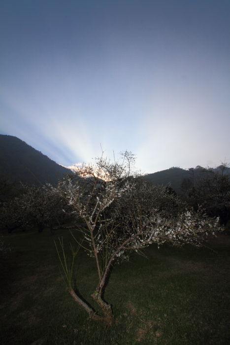 http://i.dcview.tw/gallery/201201/b4c8e5ed226667f87e1ec1b45d6b5174.jpg