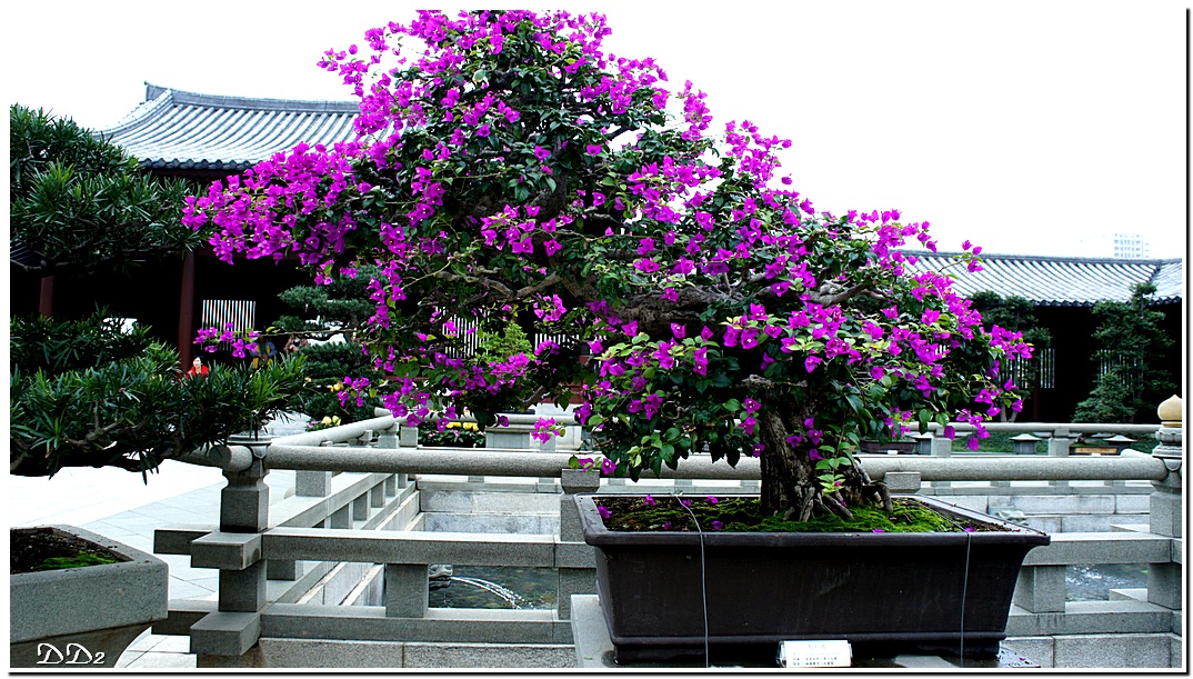 http://i.dcview.tw/gallery/201201/b58612f8e10797deeebc6319d8fc55bc.jpg