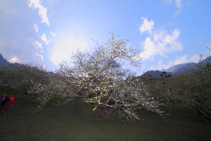 http://i.dcview.tw/gallery/201201/baba99cfdc6ff083f38f3a9498ba8441.jpg