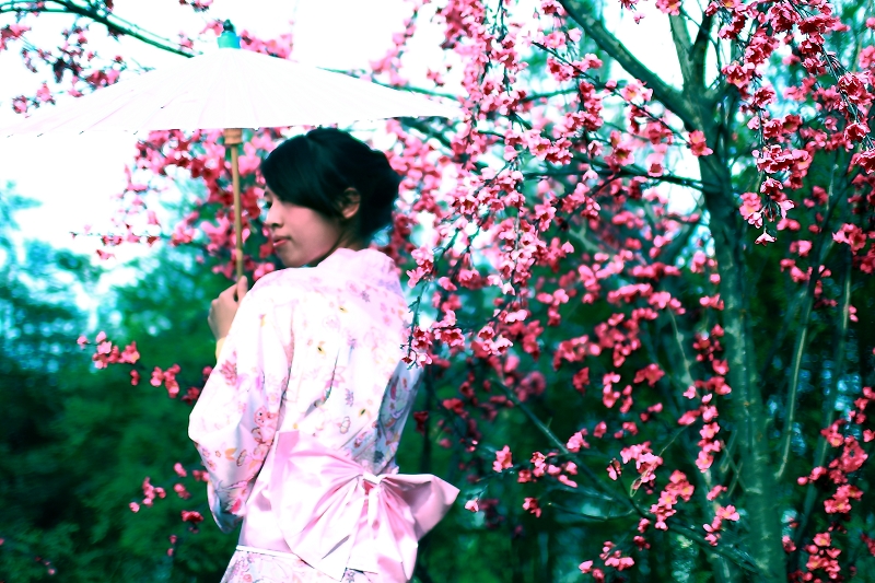 http://i.dcview.tw/gallery/201201/c011458d2f844e961772353ec01d96da.jpg