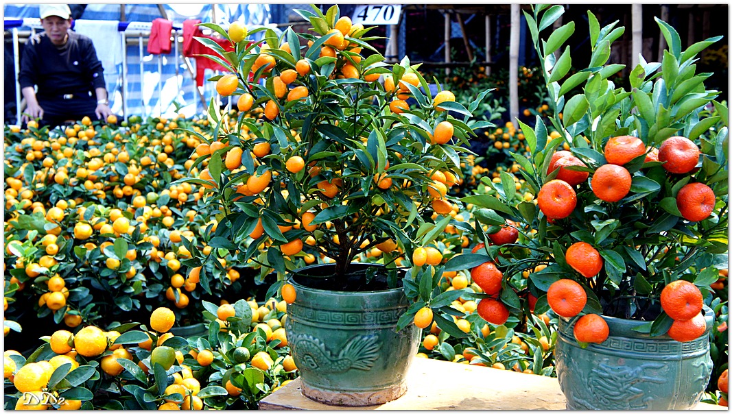http://i.dcview.tw/gallery/201201/c4a6f8bbb95cbbf4e6eb0753b8ee14c1.jpg